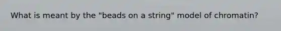 What is meant by the "beads on a string" model of chromatin?
