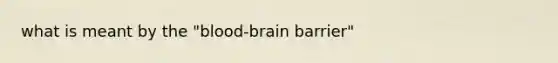 what is meant by the "blood-brain barrier"