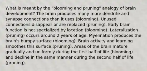 What is meant by the "blooming and pruning" analogy of brain development? The brain produces many more dendrite and synapse connections than it uses (blooming). Unused connections disappear or are replaced (pruning). Early brain function is not specialized by location (blooming). Lateralization (pruning) occurs around 2 years of age. Myelination produces the brain's bumpy surface (blooming). Brain activity and learning smoothes this surface (pruning). Areas of the brain mature gradually and uniformly during the first half of life (blooming) and decline in the same manner during the second half of life (pruning).