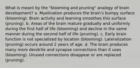 What is meant by the "blooming and pruning" analogy of brain development? a. Myelination produces the brain's bumpy surface (blooming). Brain activity and learning smoothes this surface (pruning). b. Areas of the brain mature gradually and uniformly during the first half of life (blooming) and decline in the same manner during the second half of life (pruning). c. Early brain function is not specialized by location (blooming). Lateralization (pruning) occurs around 2 years of age. d. The brain produces many more dendrite and synapse connections than it uses (blooming). Unused connections disappear or are replaced (pruning).