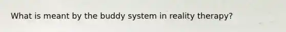 What is meant by the buddy system in reality therapy?