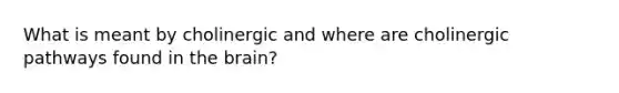 What is meant by cholinergic and where are cholinergic pathways found in <a href='https://www.questionai.com/knowledge/kLMtJeqKp6-the-brain' class='anchor-knowledge'>the brain</a>?