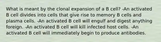 What is meant by the clonal expansion of a B cell? -An activated B cell divides into cells that give rise to memory B cells and plasma cells. -An activated B cell will engulf and digest anything foreign. -An activated B cell will kill infected host cells. -An activated B cell will immediately begin to produce antibodies.