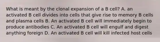 What is meant by the clonal expansion of a B cell? A. an activated B cell divides into cells that give rise to memory B cells and plasma cells B. An activated B cell will immediately begin to produce antibodies C. An activated B cell will engulf and digest anything foreign D. An activated B cell will kill infected host cells