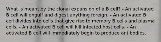 What is meant by the clonal expansion of a B cell? - An activated B cell will engulf and digest anything foreign. - An activated B cell divides into cells that give rise to memory B cells and plasma cells. - An activated B cell will kill infected host cells. - An activated B cell will immediately begin to produce antibodies.