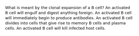 What is meant by the clonal expansion of a B cell? An activated B cell will engulf and digest anything foreign. An activated B cell will immediately begin to produce antibodies. An activated B cell divides into cells that give rise to memory B cells and plasma cells. An activated B cell will kill infected host cells.