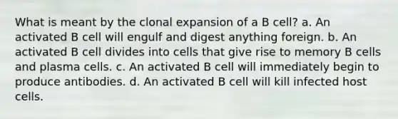 What is meant by the clonal expansion of a B cell? a. An activated B cell will engulf and digest anything foreign. b. An activated B cell divides into cells that give rise to memory B cells and plasma cells. c. An activated B cell will immediately begin to produce antibodies. d. An activated B cell will kill infected host cells.