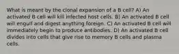 What is meant by the clonal expansion of a B cell? A) An activated B cell will kill infected host cells. B) An activated B cell will engulf and digest anything foreign. C) An activated B cell will immediately begin to produce antibodies. D) An activated B cell divides into cells that give rise to memory B cells and plasma cells.