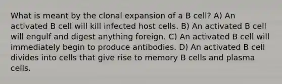 What is meant by the clonal expansion of a B cell? A) An activated B cell will kill infected host cells. B) An activated B cell will engulf and digest anything foreign. C) An activated B cell will immediately begin to produce antibodies. D) An activated B cell divides into cells that give rise to memory B cells and plasma cells.