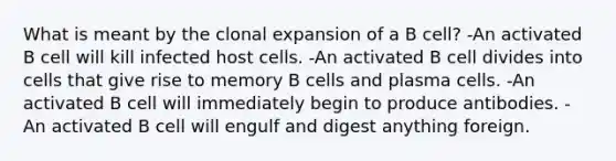 What is meant by the clonal expansion of a B cell? -An activated B cell will kill infected host cells. -An activated B cell divides into cells that give rise to memory B cells and plasma cells. -An activated B cell will immediately begin to produce antibodies. -An activated B cell will engulf and digest anything foreign.