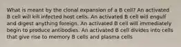 What is meant by the clonal expansion of a B cell? An activated B cell will kill infected host cells. An activated B cell will engulf and digest anything foreign. An activated B cell will immediately begin to produce antibodies. An activated B cell divides into cells that give rise to memory B cells and plasma cells