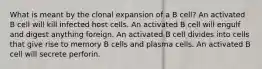 What is meant by the clonal expansion of a B cell? An activated B cell will kill infected host cells. An activated B cell will engulf and digest anything foreign. An activated B cell divides into cells that give rise to memory B cells and plasma cells. An activated B cell will secrete perforin.