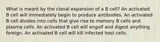 What is meant by the clonal expansion of a B cell? An activated B cell will immediately begin to produce antibodies. An activated B cell divides into cells that give rise to memory B cells and plasma cells. An activated B cell will engulf and digest anything foreign. An activated B cell will kill infected host cells.