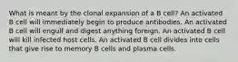 What is meant by the clonal expansion of a B cell? An activated B cell will immediately begin to produce antibodies. An activated B cell will engulf and digest anything foreign. An activated B cell will kill infected host cells. An activated B cell divides into cells that give rise to memory B cells and plasma cells.