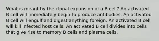 What is meant by the clonal expansion of a B cell? An activated B cell will immediately begin to produce antibodies. An activated B cell will engulf and digest anything foreign. An activated B cell will kill infected host cells. An activated B cell divides into cells that give rise to memory B cells and plasma cells.