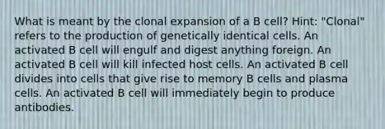 What is meant by the clonal expansion of a B cell? Hint: "Clonal" refers to the production of genetically identical cells. An activated B cell will engulf and digest anything foreign. An activated B cell will kill infected host cells. An activated B cell divides into cells that give rise to memory B cells and plasma cells. An activated B cell will immediately begin to produce antibodies.