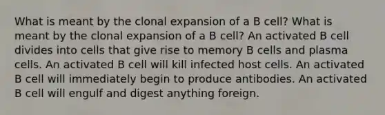 What is meant by the clonal expansion of a B cell? What is meant by the clonal expansion of a B cell? An activated B cell divides into cells that give rise to memory B cells and plasma cells. An activated B cell will kill infected host cells. An activated B cell will immediately begin to produce antibodies. An activated B cell will engulf and digest anything foreign.