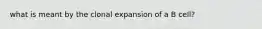 what is meant by the clonal expansion of a B cell?