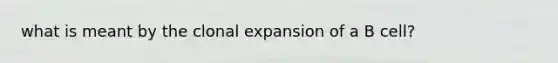 what is meant by the clonal expansion of a B cell?