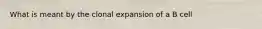 What is meant by the clonal expansion of a B cell