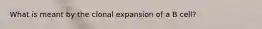 What is meant by the clonal expansion of a B cell?