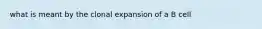 what is meant by the clonal expansion of a B cell