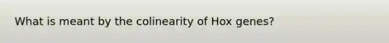 What is meant by the colinearity of Hox genes?