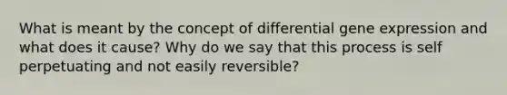 What is meant by the concept of differential gene expression and what does it cause? Why do we say that this process is self perpetuating and not easily reversible?