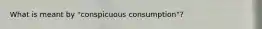 What is meant by "conspicuous consumption"?