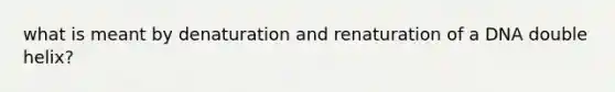 what is meant by denaturation and renaturation of a DNA double helix?