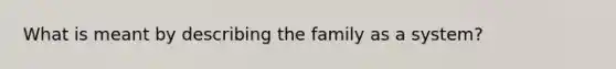 What is meant by describing the family as a system?