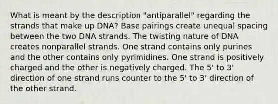 What is meant by the description "antiparallel" regarding the strands that make up DNA? Base pairings create unequal spacing between the two DNA strands. The twisting nature of DNA creates nonparallel strands. One strand contains only purines and the other contains only pyrimidines. One strand is positively charged and the other is negatively charged. The 5' to 3' direction of one strand runs counter to the 5' to 3' direction of the other strand.