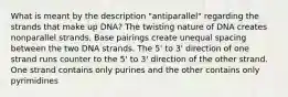 What is meant by the description "antiparallel" regarding the strands that make up DNA? The twisting nature of DNA creates nonparallel strands. Base pairings create unequal spacing between the two DNA strands. The 5' to 3' direction of one strand runs counter to the 5' to 3' direction of the other strand. One strand contains only purines and the other contains only pyrimidines ​