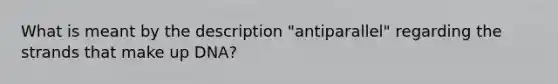 What is meant by the description "antiparallel" regarding the strands that make up DNA?