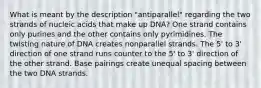 What is meant by the description "antiparallel" regarding the two strands of nucleic acids that make up DNA? One strand contains only purines and the other contains only pyrimidines. The twisting nature of DNA creates nonparallel strands. The 5' to 3' direction of one strand runs counter to the 5' to 3' direction of the other strand. Base pairings create unequal spacing between the two DNA strands.