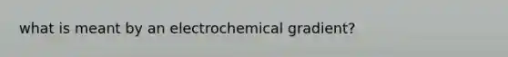 what is meant by an electrochemical gradient?