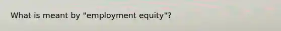 What is meant by "employment equity"?