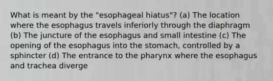 What is meant by the "esophageal hiatus"? (a) The location where the esophagus travels inferiorly through the diaphragm (b) The juncture of the esophagus and small intestine (c) The opening of the esophagus into the stomach, controlled by a sphincter (d) The entrance to the pharynx where the esophagus and trachea diverge