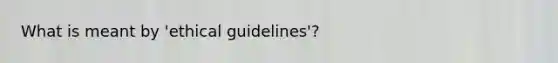 What is meant by 'ethical guidelines'?