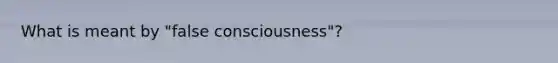 What is meant by "false consciousness"?