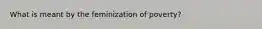 What is meant by the feminization of poverty?