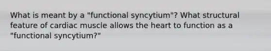 What is meant by a "functional syncytium"? What structural feature of cardiac muscle allows the heart to function as a "functional syncytium?"