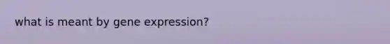 what is meant by gene expression?