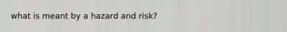 what is meant by a hazard and risk?