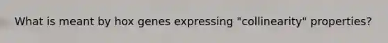 What is meant by hox genes expressing "collinearity" properties?