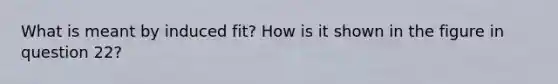 What is meant by induced fit? How is it shown in the figure in question 22?