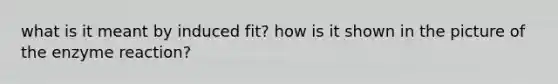 what is it meant by induced fit? how is it shown in the picture of the enzyme reaction?