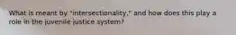 What is meant by "intersectionality," and how does this play a role in the juvenile justice system?