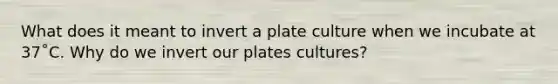 What does it meant to invert a plate culture when we incubate at 37˚C. Why do we invert our plates cultures?