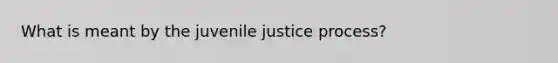 What is meant by the juvenile justice process?